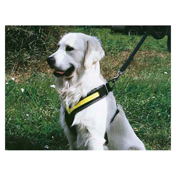 Hundesele MIMsafe Allsafe - Small (4)