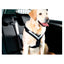 Hundesele MIMsafe Allsafe- X-Large (3)