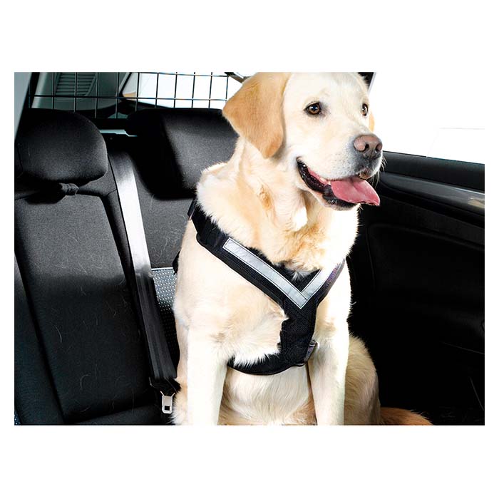 Hundesele MIMsafe Allsafe - Large (3)