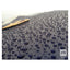 Autoglym Extra Gloss Protection 500 Ml. Lakforsegling - GreenGoing