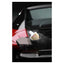 Autoglym Ultra High Definition Ceramic Coating - GreenGoing