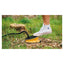 Easy Camp Fodpumpe 3 L - GreenGoing